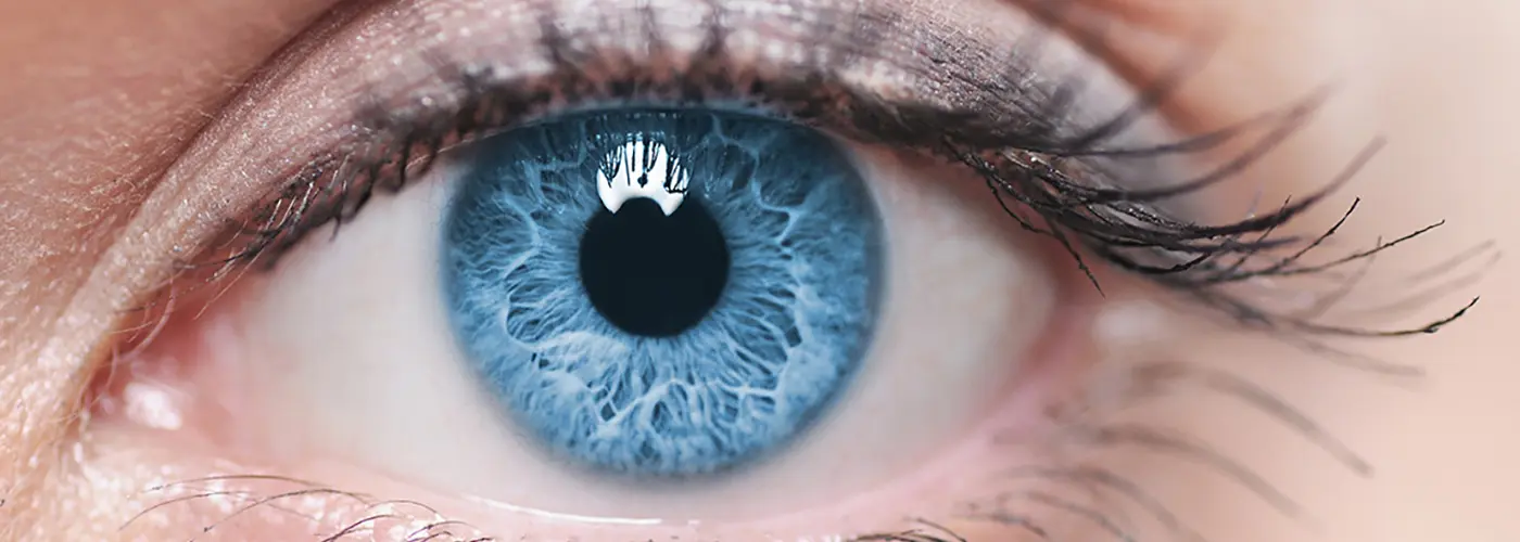 Een close-up van een oog